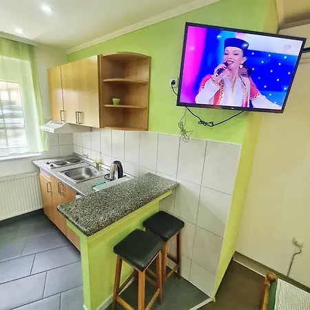 Aleksandra 1 Sokobanja